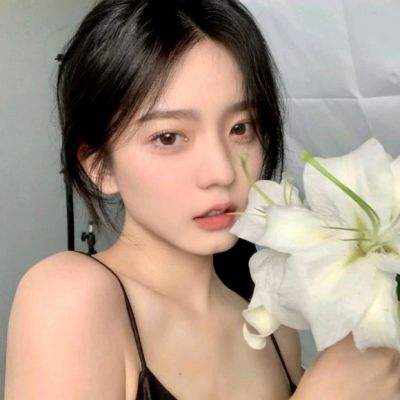 无尽战略游戏下载